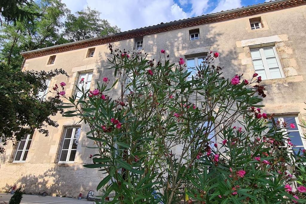Les Hauts De St Jacques Maison D'Exception 300M2, Jardin Arbore 2000M2 Пузож Екстер'єр фото